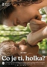 Plakát filmu Co je ti, holka?