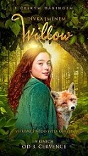 Dívka jménem Willow Plakát filmu Dívka jménem Willow