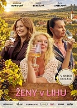 Plakát filmu Ženy v lihu